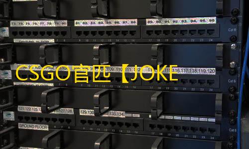CSGO官匹【JOKER/透饰/梓喵/仅支持官匹平台】辅助
