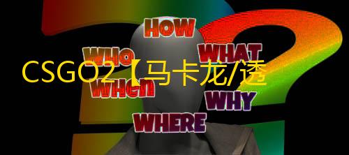 CSGO2【马卡龙/透饰/梓喵/支持5E/武器换肤】辅助